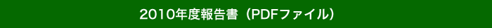 2010年度報告書
