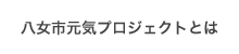 八女市元気プロジェクトとは
