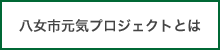 八女市元気プロジェクトとは