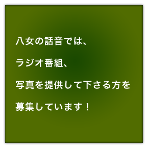 募集しています！